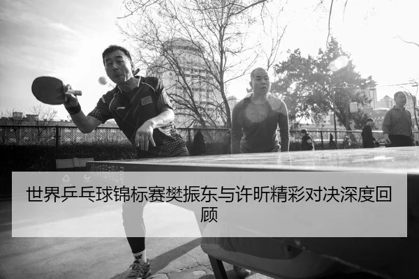 世界乒乓球锦标赛樊振东与许昕精彩对决深度回顾